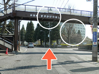 本八戸駅を背にして登り坂を直進すると、右側奥に八戸市役所と手前に歩道橋が見えます。