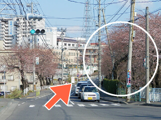 右折後、右側に長根運動公園が広がります。直進してください。