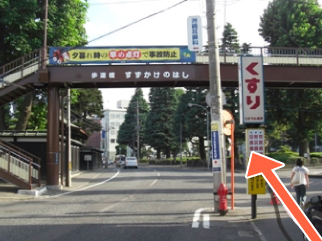 300mほど進み、歩道橋をくぐります。